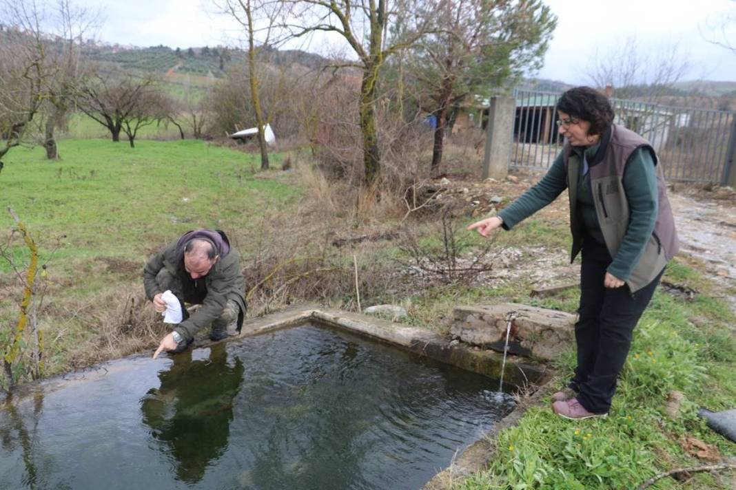 Yol kenarında tesadüfen bulundu: Zoologlar apar topar bu ilimize gitti! Meğer eskiden Kuzey Anadolu'da yaygınmış 2